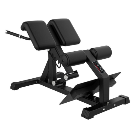 Gymstick Back Bench Pro